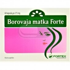 „Borovaja matka Forte“, 60 kapsulių po 375 mg