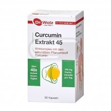 DR.WOLZ Curcumin Extrakt 45 N90
