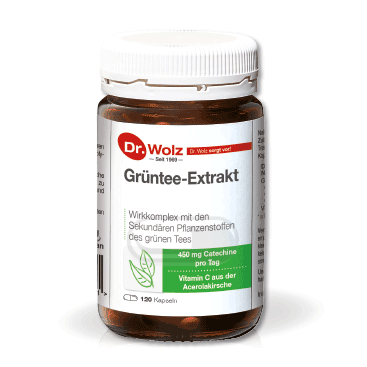 DR.WOLZ Grüntee-Extrakt, N120