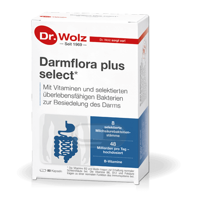 DR.WOLZ Darmflora plus select, N80