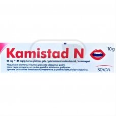 Kamistad N 20 mg/185 mg /g burnos gleivinės gelis, 10g